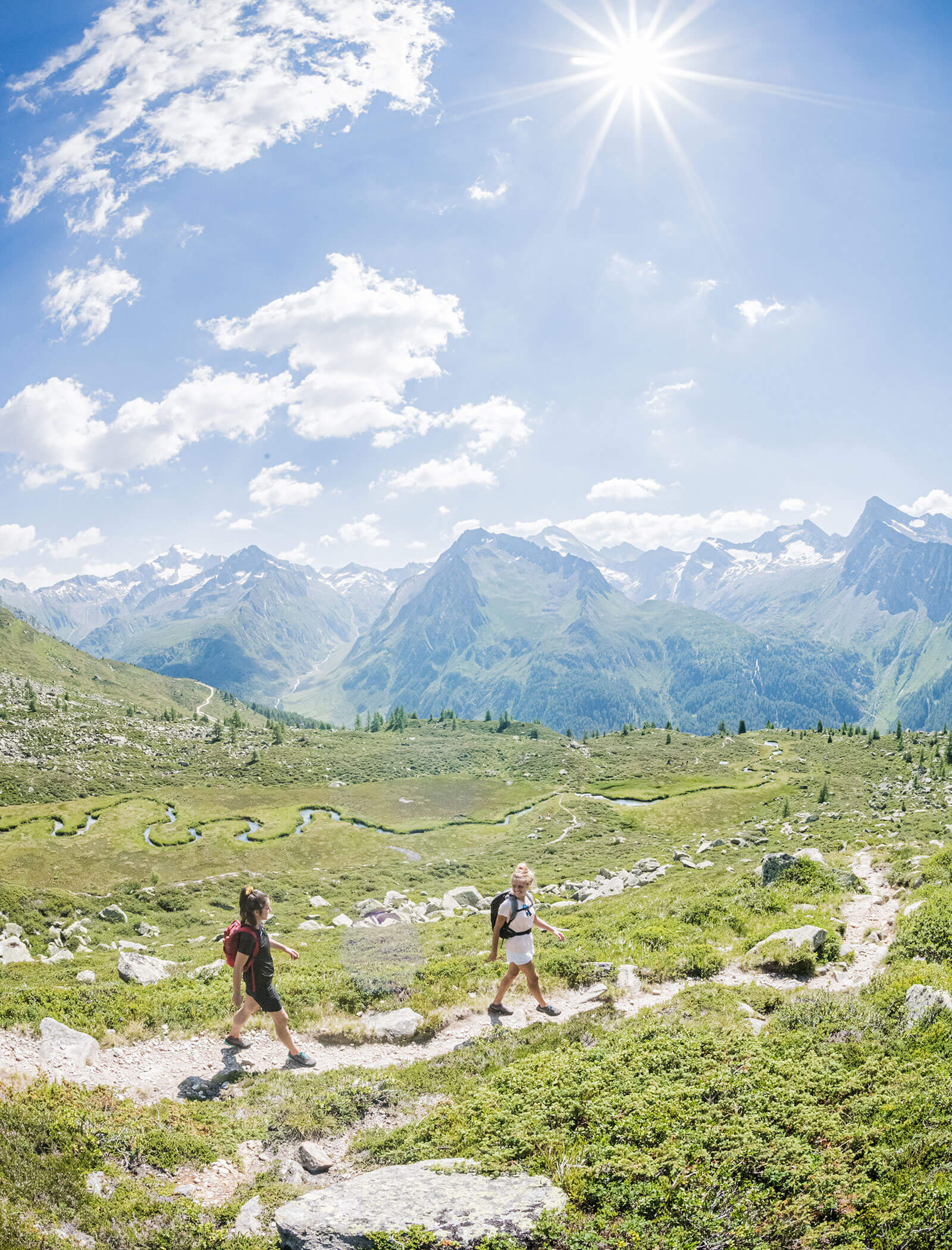 Two hikers walk along a mountain trail under a bright sun, with green hills and snowy peaks in the background. - Hotel Moosmair