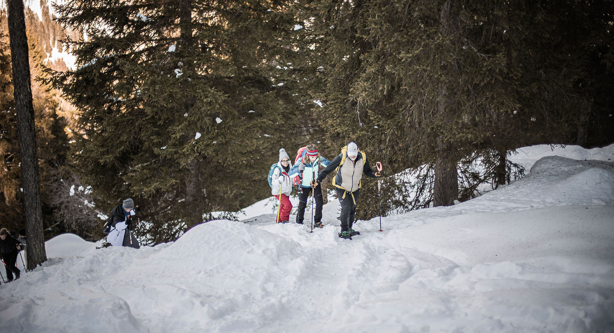 Un gruppo di persone in abbigliamento invernale percorre un sentiero innevato circondato da alberi. - Hotel Moosmair