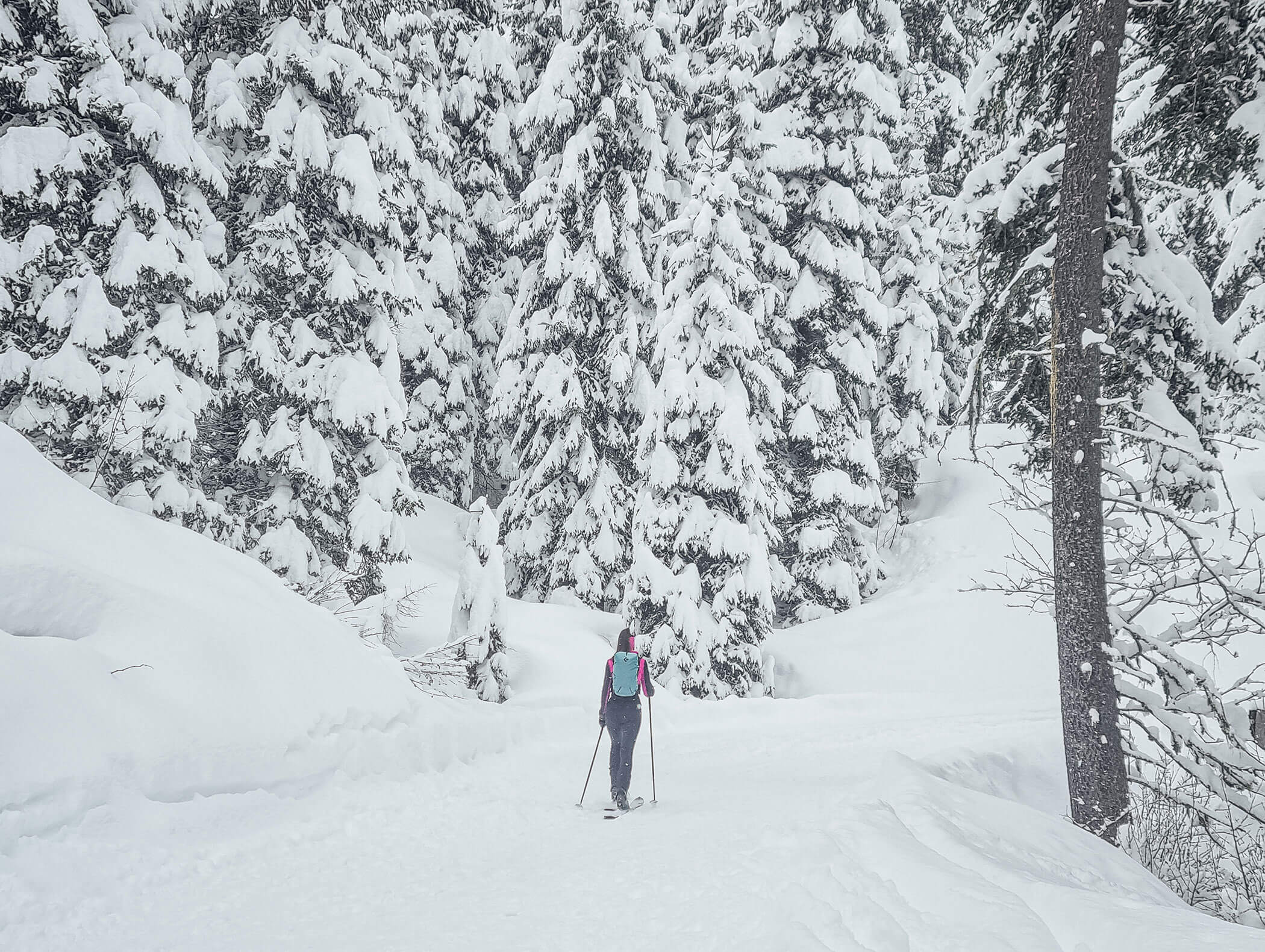 Persona con bastoncini da sci cammina in una foresta innevata circondata da alti alberi coperti di neve. - Hotel Moosmair